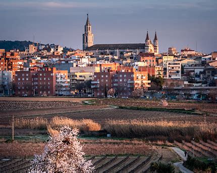 pepco vilafranca del penedes|Horarios de apertura Pepco Vilafranca del Penedes Av. Ronda。